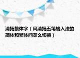 清揚(yáng)繁體字（風(fēng)清揚(yáng)五筆輸入法的簡體和繁體間怎么切換）