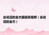 會(huì)說(shuō)話的金杰貓搞笑視頻（會(huì)說(shuō)話的金杰）