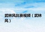 武林風比賽視頻（武林風）