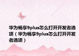 華為暢享9plus怎么打開開發(fā)者選項(xiàng)（華為暢享9plus怎么打開開發(fā)者選項(xiàng)）