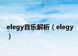 elegy音樂解析（elegy）