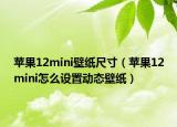 蘋(píng)果12mini壁紙尺寸（蘋(píng)果12mini怎么設(shè)置動(dòng)態(tài)壁紙）