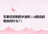 石家莊好的防水涂料（sj組合的粉絲叫什么?）