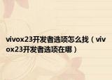 vivox23開發(fā)者選項(xiàng)怎么找（vivox23開發(fā)者選項(xiàng)在哪）