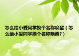 怎么給小愛(ài)同學(xué)換個(gè)名稱喚醒（怎么給小愛(ài)同學(xué)換個(gè)名稱喚醒?）
