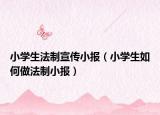 小學生法制宣傳小報（小學生如何做法制小報）