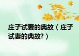 莊子試妻的典故（莊子試妻的典故?）