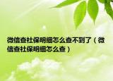 微信查社保明細(xì)怎么查不到了（微信查社保明細(xì)怎么查）