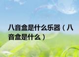 八音盒是什么樂(lè)器（八音盒是什么）