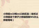 小辣椒m10和m12的區(qū)別（誰(shuí)聽(tīng)過(guò)小辣椒這個(gè)牌子小辣椒四核M1怎么樣耐用嗎）