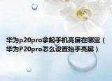 華為p20pro拿起手機(jī)亮屏在哪里（華為P20pro怎么設(shè)置抬手亮屏）