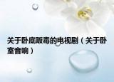 關于臥底販毒的電視?。P于臥室音響）