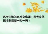 藝考生該怎么沖文化課（藝考文化課沖刺需要一對一嗎）