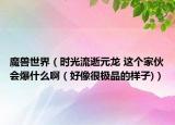 魔獸世界（時(shí)光流逝元龍 這個(gè)家伙會(huì)爆什么啊（好像很極品的樣子)）