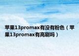 蘋果13promax有沒有粉色（蘋果13promax有高刷嗎）