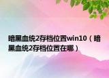 暗黑血統(tǒng)2存檔位置win10（暗黑血統(tǒng)2存檔位置在哪）