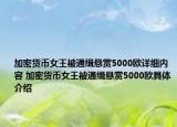 加密貨幣女王被通緝懸賞5000歐詳細(xì)內(nèi)容 加密貨幣女王被通緝懸賞5000歐具體介紹