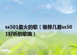 ss501最火的歌（推薦幾首ss501好聽(tīng)的歌曲）