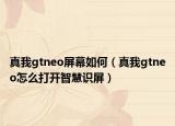 真我gtneo屏幕如何（真我gtneo怎么打開智慧識屏）
