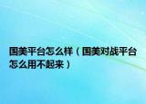 國美平臺怎么樣（國美對戰(zhàn)平臺怎么用不起來）