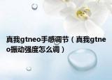 真我gtneo手感調(diào)節(jié)（真我gtneo振動強度怎么調(diào)）