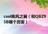 csol疾風之翼（和QBZ95B哪個厲害）