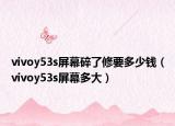 vivoy53s屏幕碎了修要多少錢（vivoy53s屏幕多大）