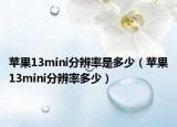 蘋果13mini分辨率是多少（蘋果13mini分辨率多少）