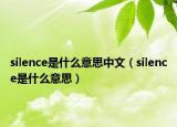 silence是什么意思中文（silence是什么意思）