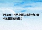 iPhone（4用小雨傘備份過SHSH詳細(xì)圖文教程）