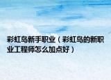 彩虹島新手職業(yè)（彩虹島的新職業(yè)工程師怎么加點好）