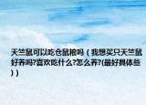 天竺鼠可以吃倉(cāng)鼠糧嗎（我想買只天竺鼠好養(yǎng)嗎?喜歡吃什么?怎么養(yǎng)?(最好具體些)）