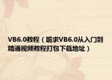 VB6.0教程（跪求VB6.0從入門到精通視頻教程打包下載地址）
