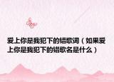 愛上你是我犯下的錯歌詞（如果愛上你是我犯下的錯歌名是什么）