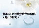 第九屆少數(shù)民族運動會在哪舉辦（是什么時間）