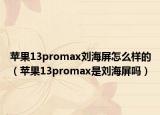 蘋果13promax劉海屏怎么樣的（蘋果13promax是劉海屏嗎）