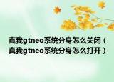 真我gtneo系統(tǒng)分身怎么關(guān)閉（真我gtneo系統(tǒng)分身怎么打開）