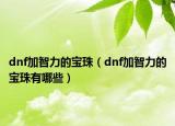 dnf加智力的寶珠（dnf加智力的寶珠有哪些）