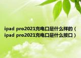 ipad pro2021充電口是什么樣的（ipad pro2021充電口是什么接口）