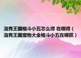 洛克王國(guó)格斗小五怎么得 在哪得（洛克王國(guó)寵物大全格斗小五在哪抓）