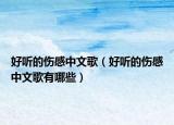 好聽的傷感中文歌（好聽的傷感中文歌有哪些）