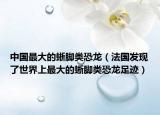 中國(guó)最大的蜥腳類(lèi)恐龍（法國(guó)發(fā)現(xiàn)了世界上最大的蜥腳類(lèi)恐龍足跡）