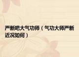 嚴新吧大氣功師（氣功大師嚴新近況如何）