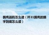 鶻鷹戰(zhàn)機怎么讀（殲31鶻鷹的鶻字到底怎么讀）