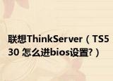 聯(lián)想ThinkServer（TS530 怎么進bios設(shè)置?）