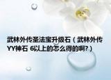 武林外傳圣法寶升級石（武林外傳YY神石 6以上的怎么得的啊?）