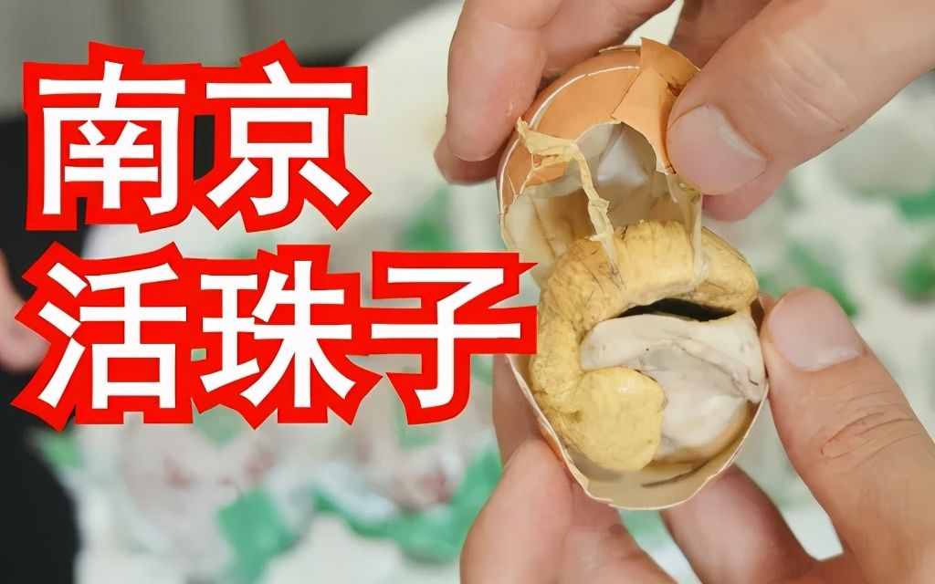 在南京嘗了一口活珠子，差點就想重新投胎