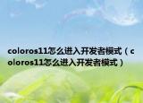 coloros11怎么進入開發(fā)者模式（coloros11怎么進入開發(fā)者模式）