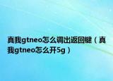 真我gtneo怎么調(diào)出返回鍵（真我gtneo怎么開5g）