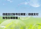 微信支付賬號在哪里（微信支付賬號在哪里看）